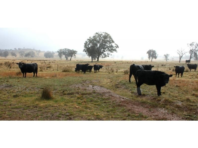 Kerrs Creek NSW 2800
