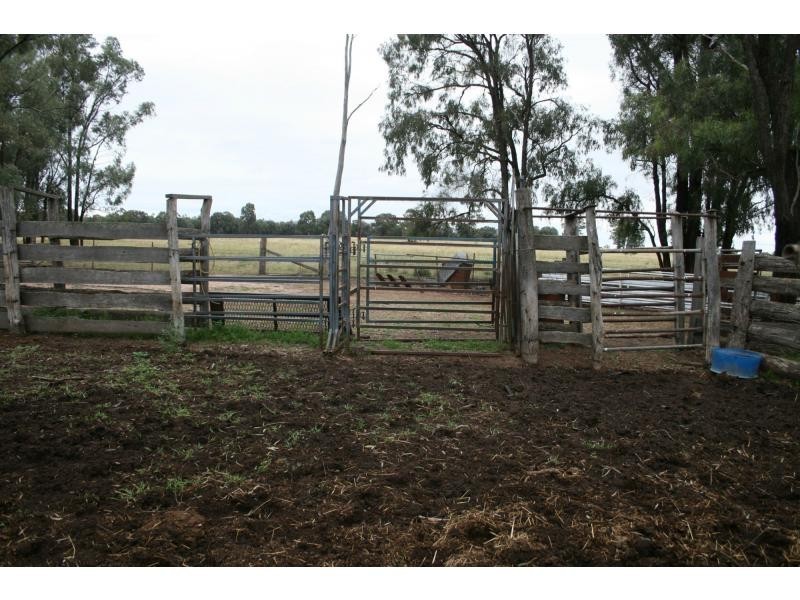 “Lynton Downs” 621 Flora Reserve Road, Gilgandra NSW 2827