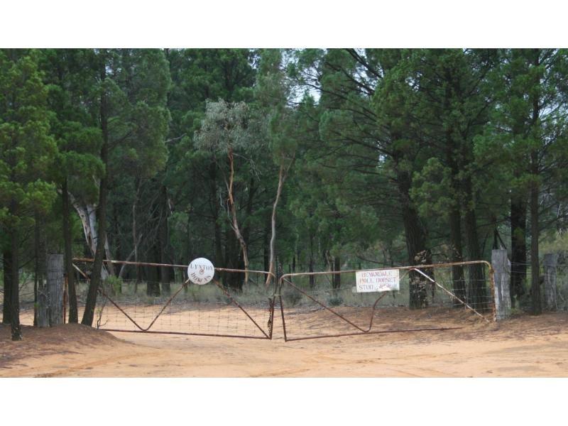 “Lynton Downs” 621 Flora Reserve Road, Gilgandra NSW 2827
