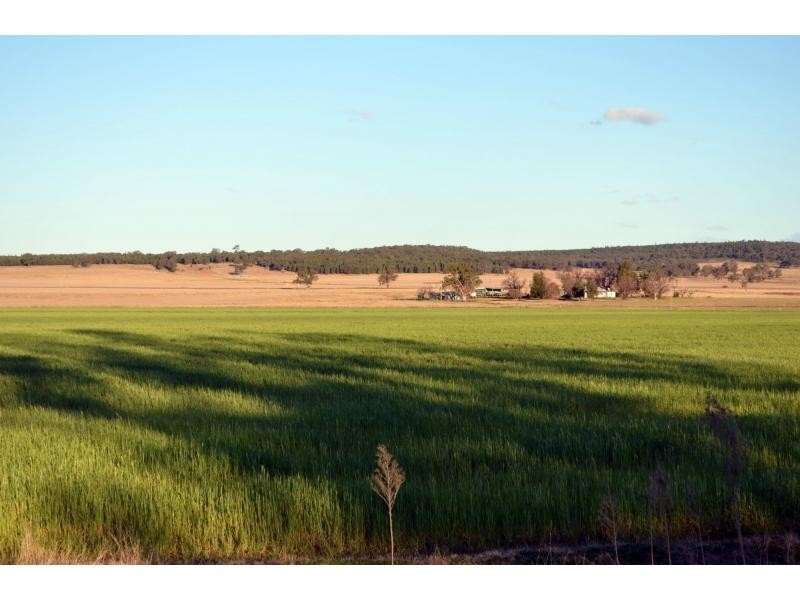 “Kurralta” 1054 Piambra Road, Binnaway NSW 2395