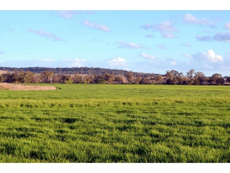 “Kurralta” 1054 Piambra Road, Binnaway NSW 2395
