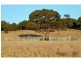 “Kurralta” 1054 Piambra Road, Binnaway NSW 2395