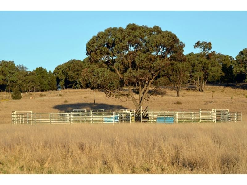 “Kurralta” 1054 Piambra Road, Binnaway NSW 2395