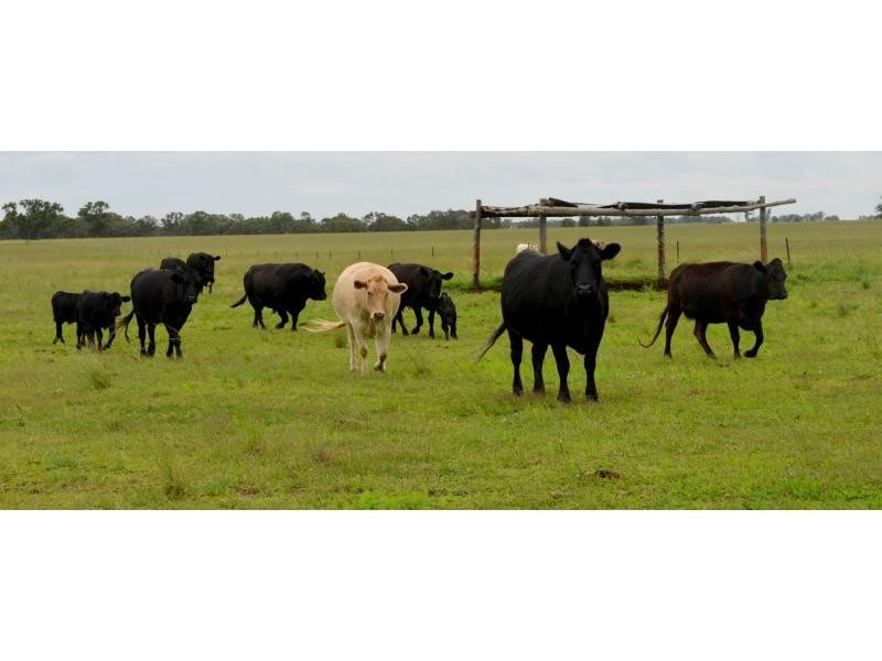 “Kurralta” 1054 Piambra Road, Binnaway NSW 2395