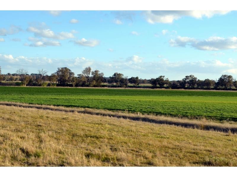 “Kurralta” 1054 Piambra Road, Binnaway NSW 2395
