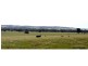 “Kurralta” 1054 Piambra Road, Binnaway NSW 2395