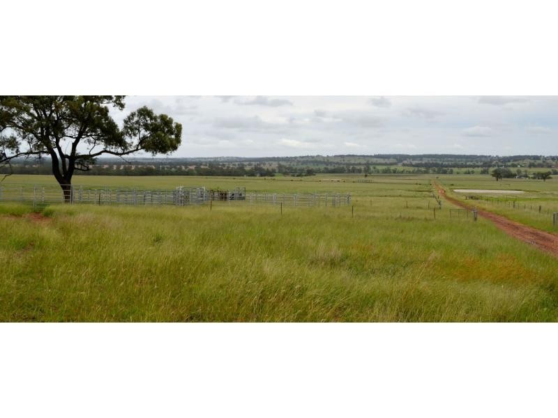 “Kurralta” 1054 Piambra Road, Binnaway NSW 2395