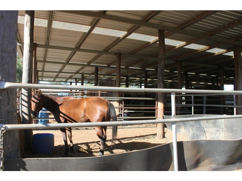 “Lynwood” 144L Goan Creek Road, Ballimore NSW 2830