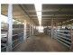 “Lynwood” 144L Goan Creek Road, Ballimore NSW 2830