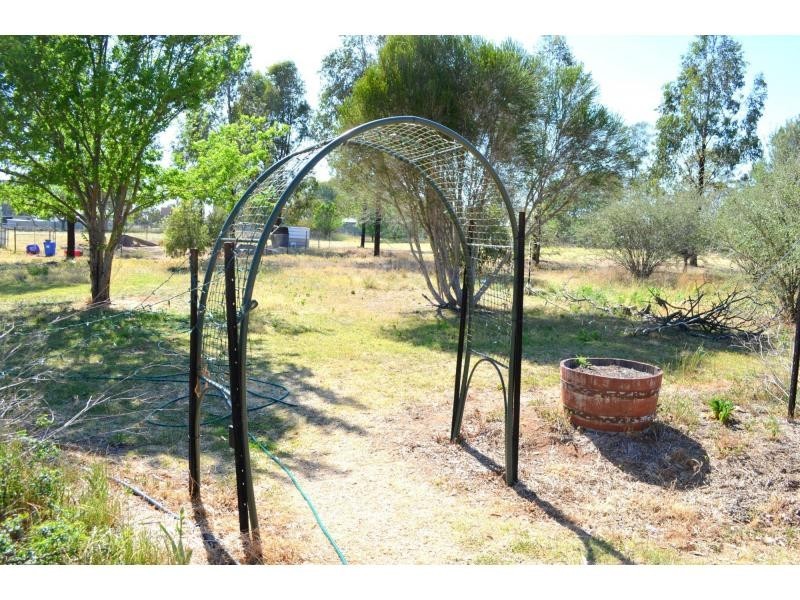 4 River Street, Dunedoo NSW 2844