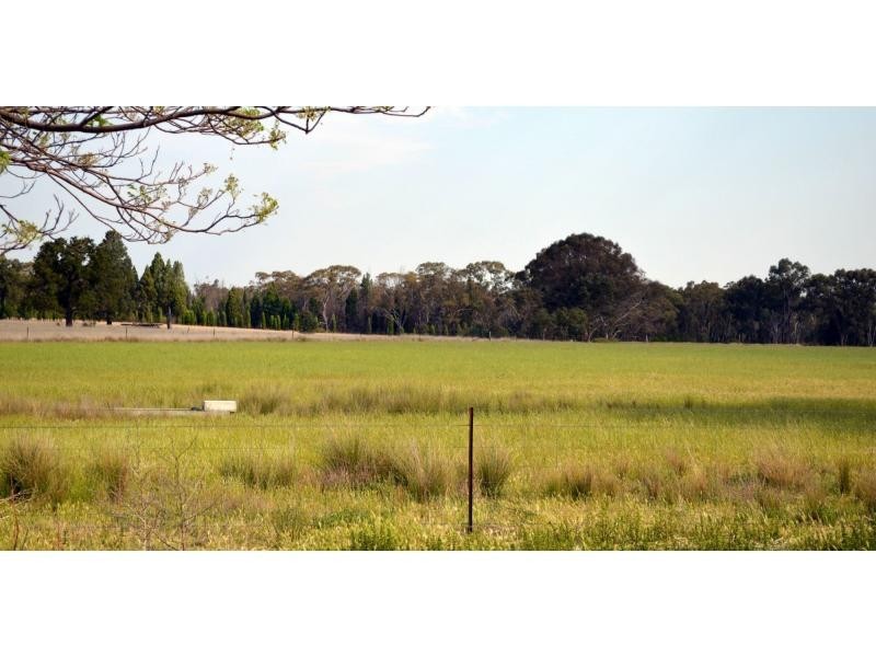 “Lucknow” 193R Mendooran Road, Jones Creek NSW 2830