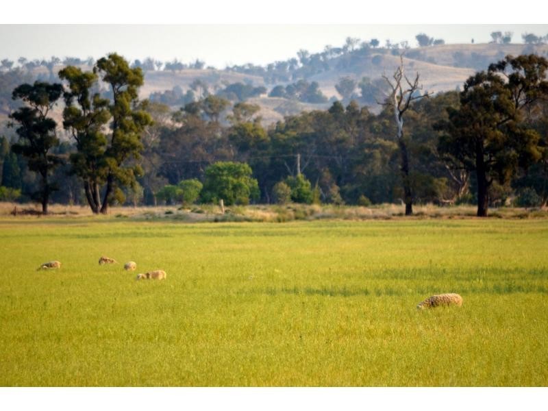 “Lucknow” 193R Mendooran Road, Jones Creek NSW 2830