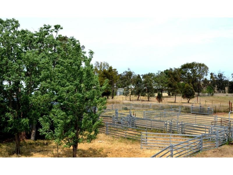 “Lucknow” 193R Mendooran Road, Jones Creek NSW 2830