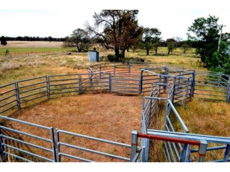 “Lucknow” 193R Mendooran Road, Jones Creek NSW 2830