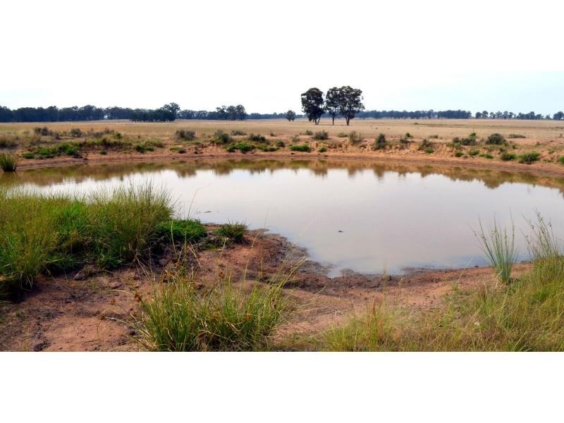 “Belmont” 71R Maiala Road, Eumungerie NSW 2831
