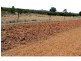 “Belmont” 71R Maiala Road, Eumungerie NSW 2831