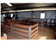 “Belmont” 71R Maiala Road, Eumungerie NSW 2831