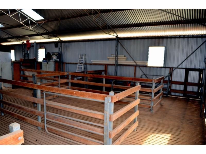 “Belmont” 71R Maiala Road, Eumungerie NSW 2831