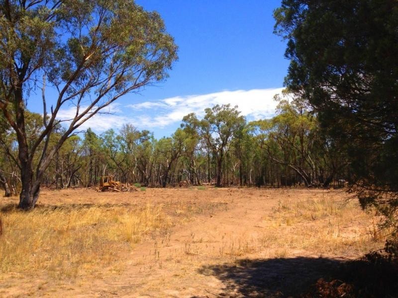 75 Dubbo Street, Elong Elong NSW 2831