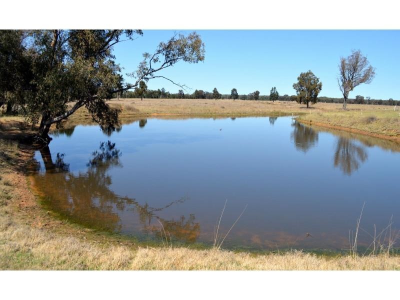 “Karana” Mendooran Road, Mendooran NSW 2842