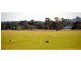 “Lucknow” 193R Mendooran Road, Jones Creek NSW 2830