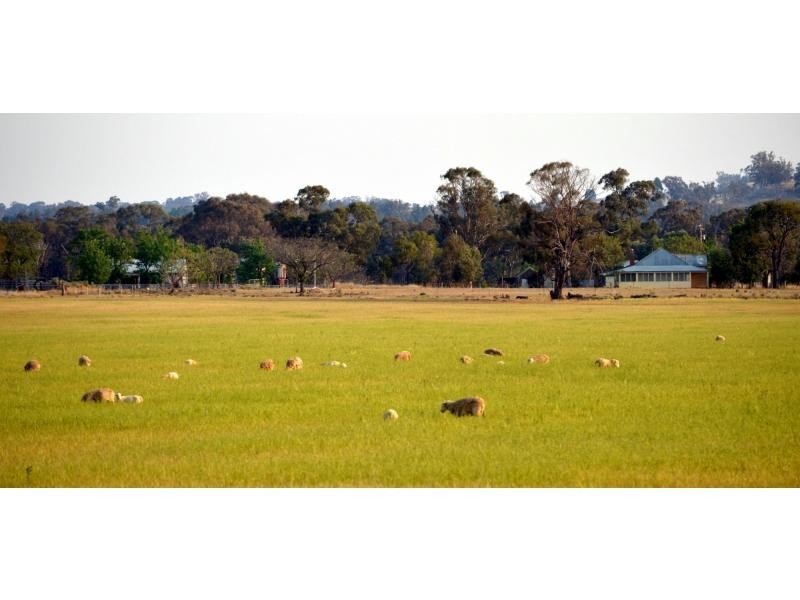 “Lucknow” 193R Mendooran Road, Jones Creek NSW 2830