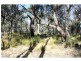 “Lucknow” 193R Mendooran Road, Jones Creek NSW 2830