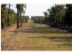 “Lucknow” 193R Mendooran Road, Jones Creek NSW 2830