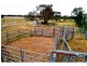 “Lucknow” 193R Mendooran Road, Jones Creek NSW 2830