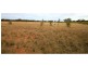 Lot 68 Gilgandra Road, Mendooran NSW 2842