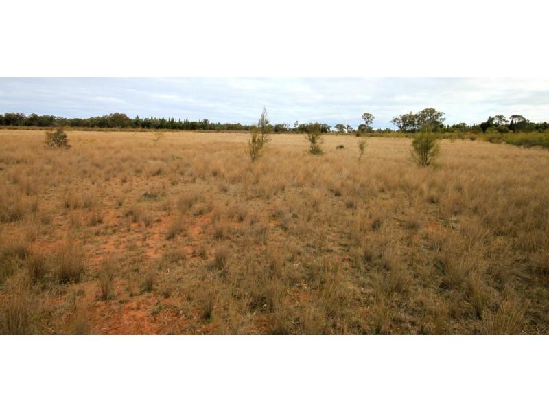 Lot 68 Gilgandra Road, Mendooran NSW 2842