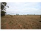 Lot 68 Gilgandra Road, Mendooran NSW 2842