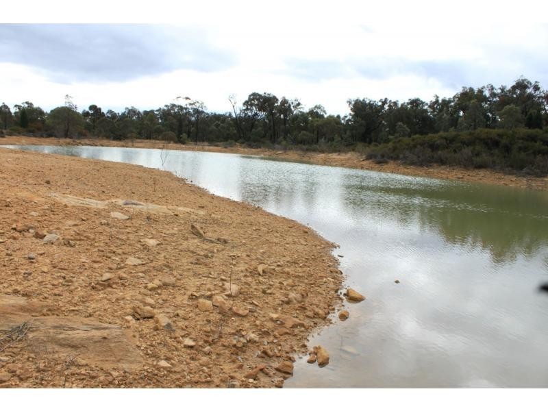 L10 “Goldwood” Castlereagh Highway, Mendooran NSW 2842