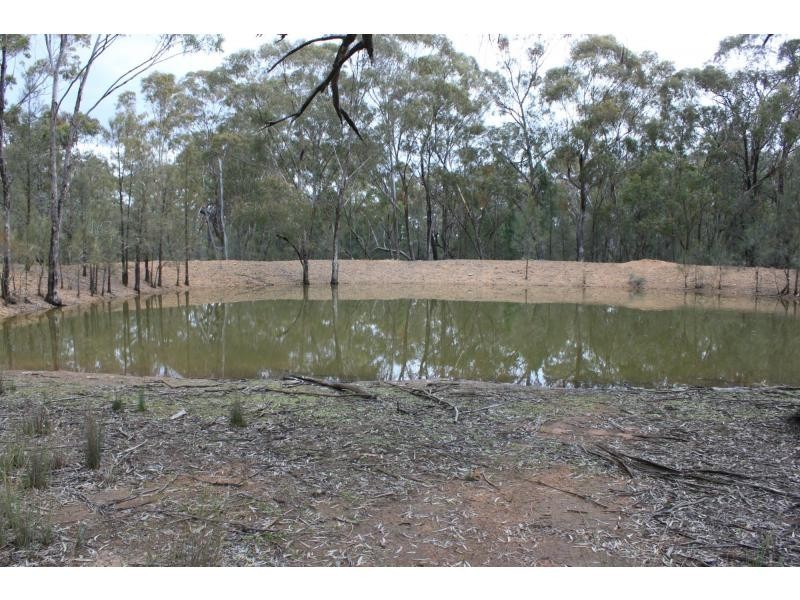 L10 “Goldwood” Castlereagh Highway, Mendooran NSW 2842