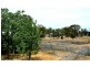 “Lucknow” 193R Mendooran Road, Jones Creek NSW 2830