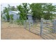 “Lucknow” 193R Mendooran Road, Jones Creek NSW 2830