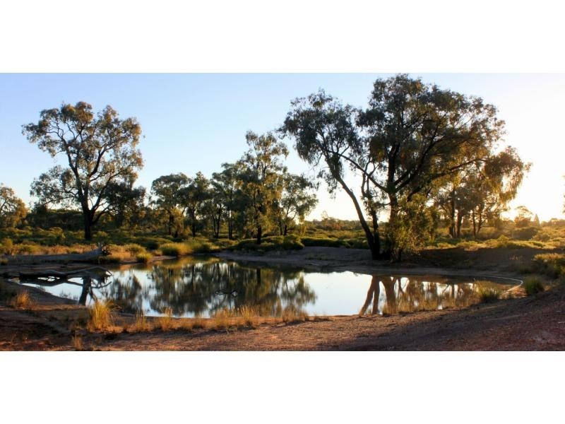 “Tallawalla” 578R West Mialla Road, Balladoran NSW 2831