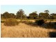 “Tallawalla” 578R West Mialla Road, Balladoran NSW 2831