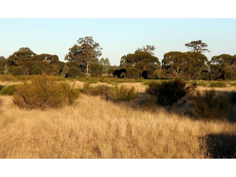 “Tallawalla” 578R West Mialla Road, Balladoran NSW 2831