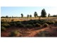 “Tallawalla” 578R West Mialla Road, Balladoran NSW 2831