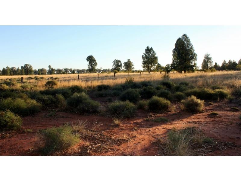 “Tallawalla” 578R West Mialla Road, Balladoran NSW 2831