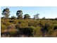 “Tallawalla” 578R West Mialla Road, Balladoran NSW 2831