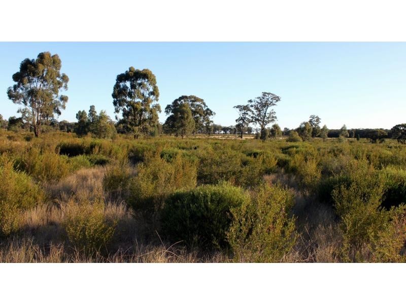 “Tallawalla” 578R West Mialla Road, Balladoran NSW 2831