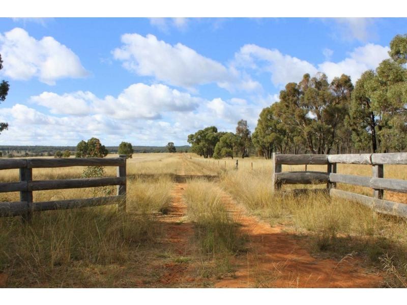 “Greandark” Lot 5 DP754965, Purlewaugh NSW 2357