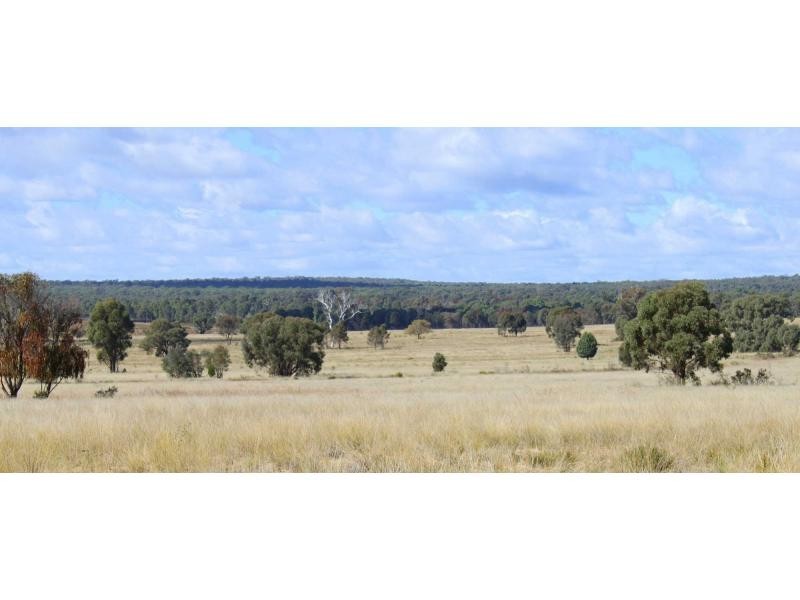 “Greandark” Lot 5 DP754965, Purlewaugh NSW 2357