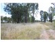 “Greandark” Lot 5 DP754965, Purlewaugh NSW 2357