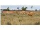 “Alora” Kenebri, Kenebri NSW 2396