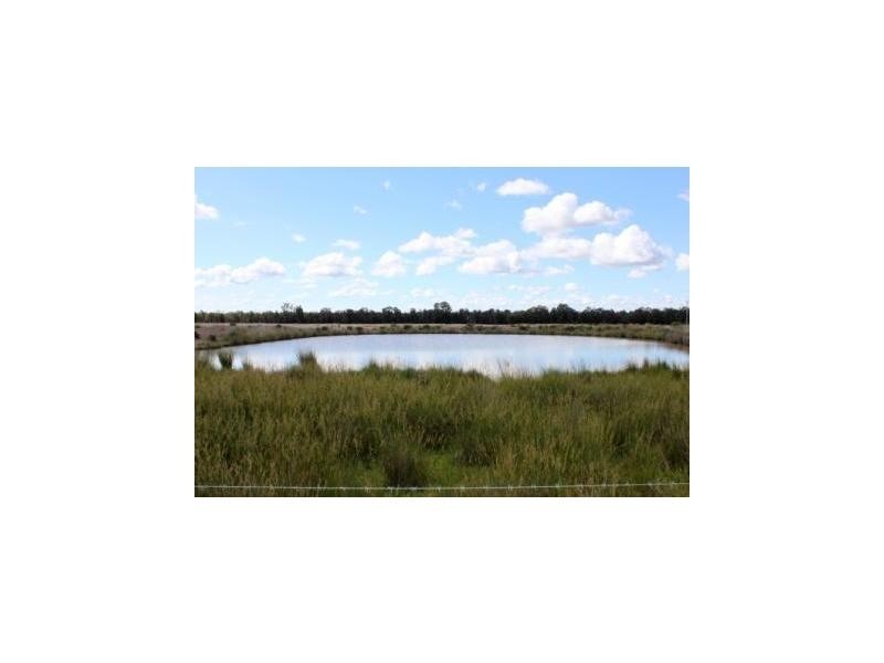 “The Grange” Eura Forest Road, Balladoran NSW 2831