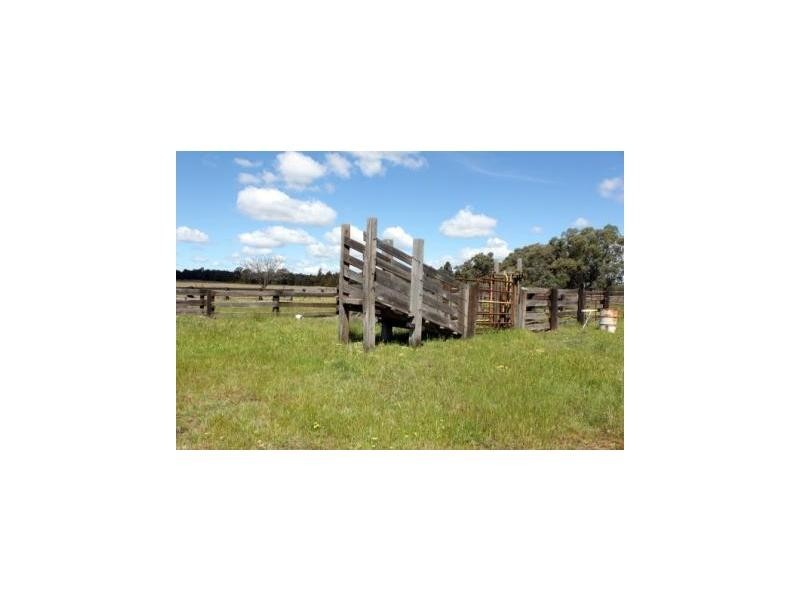 “The Grange” Eura Forest Road, Balladoran NSW 2831