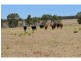 “Pineleigh” 130R Goan Creek Road, Ballimore NSW 2830